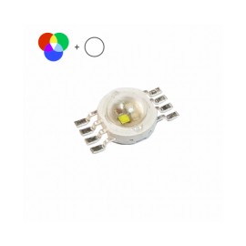 ORG-13 Organizador 10" con...