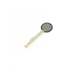 R100E-2W Resistencia a 2W...
