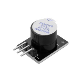 CE-47-100V Capacitor...